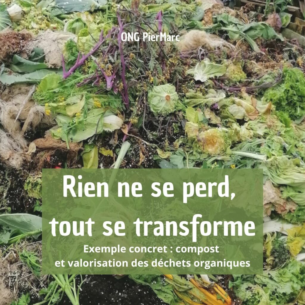 Compost en cours de décomposition illustrant la transformation des déchets organiques et les cycles du vivant