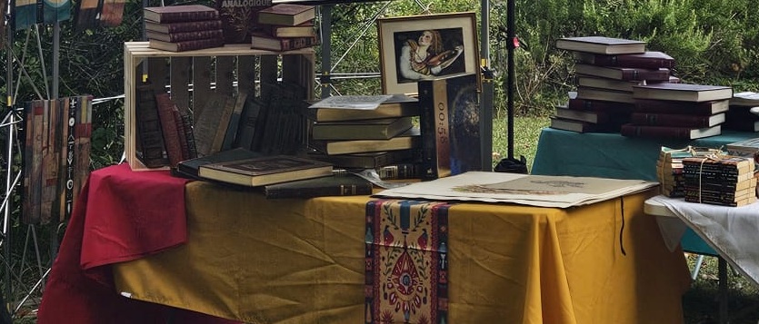 Stand de brocante antiquités à Meyrin présentant des livres anciens, des ouvrages empilés et un tableau encadré, disposés sur des tables recouvertes de tissus colorés.